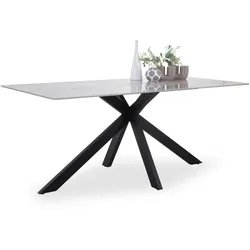 Esstisch BASIA (LBH 180x90x76 cm) - grau - LBH 180x90x76 cm