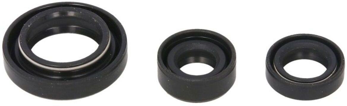 Pochette de joints moteur WINDEROSA W822254