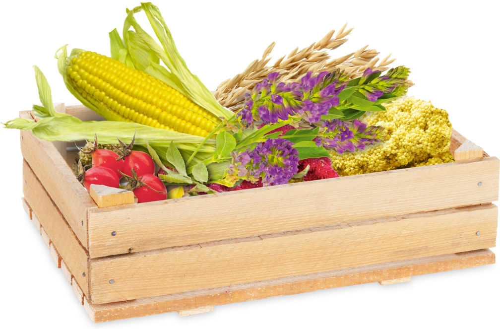 Real Nature Criceti Optimal Muesli 500G
