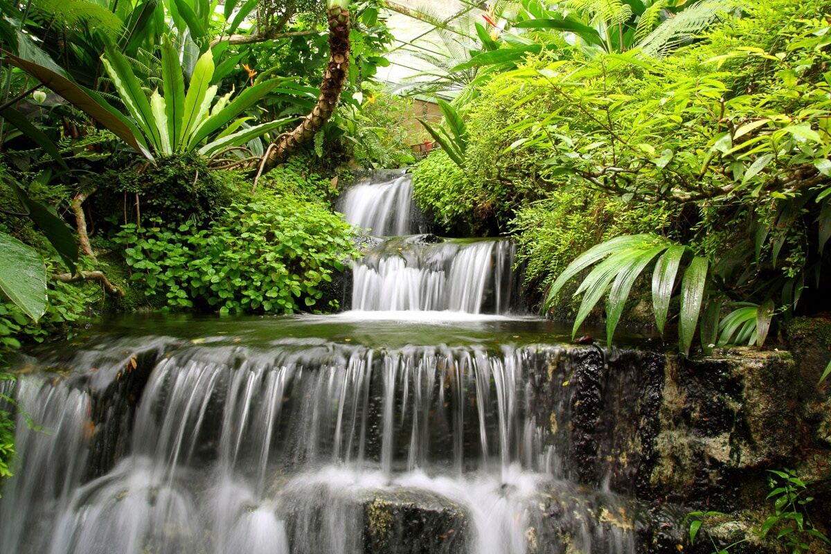 Fototapete PAPERMOON "WASSERFALL-NATUR WALD DSCHUNGEL PALMEN BÄUME PFLANZEN", bunt, B:5m L:2,8m, Vlies, Tapeten, Fototapete bunt B/L: 5m x 2,8m, Bahnen: 10 Stk.