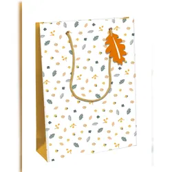 Clairefontaine 6x Geschenktasche L, Fuchs, 26,5x14x33 cm - Weiß X-30870-2C