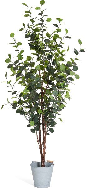 4EverGreen Eukalyptus Træ, 180 Cm