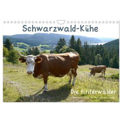 Schwarzwald-Kühe - Die Hinterwälder (Wandkalender 2026 DIN A4 quer), CALVENDO Monatskalender