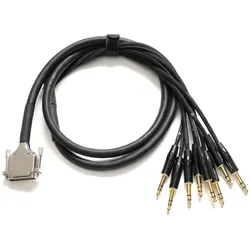 Warm Audio Prem-DB25-TRSm-10 Inch (3 m), Lautsprecherkabel