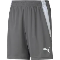 PUMA teamLIGA Shorts Kinder smoked pearl/puma white 140