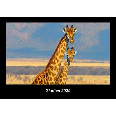 Giraffen 2025 Fotokalender DIN A3