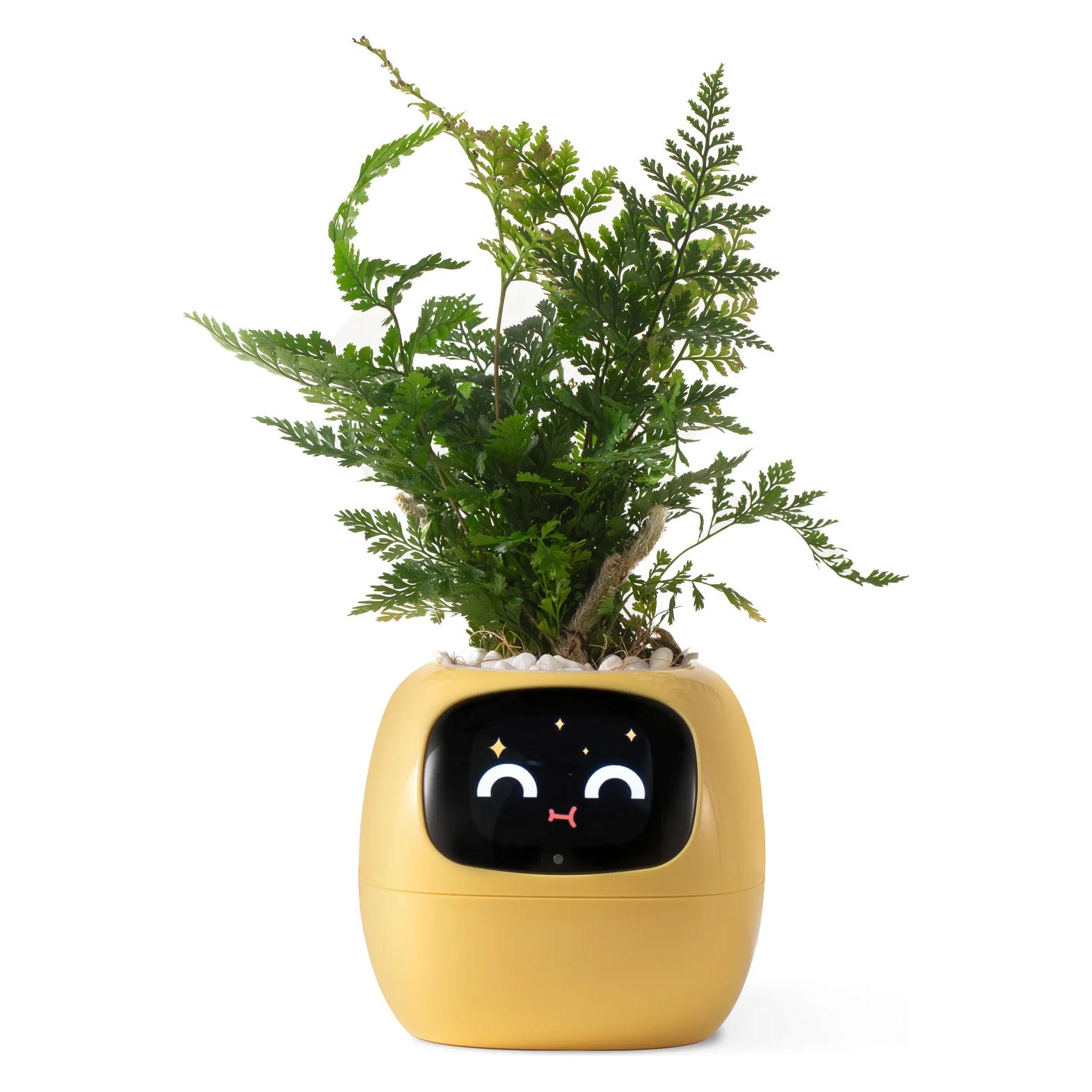 Plantsio Ivy Smart Planter (ivy_smart_planter_yellow)