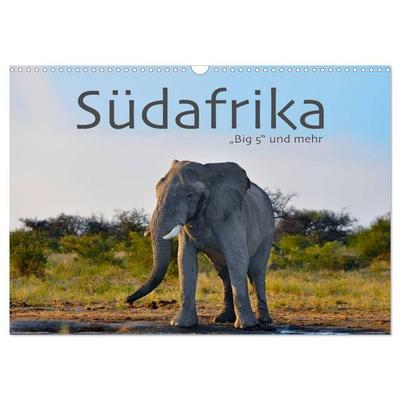 Südafrika - Big 5 und mehr (Wandkalender 2026 DIN A3 quer), CALVENDO Monatskalender
