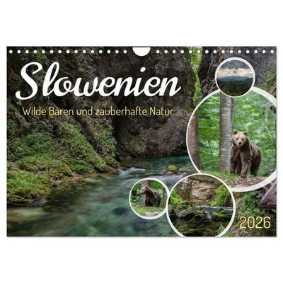 Slowenien - Wilde Bären und zauberhafte Natur (Wandkalender 2026 DIN A4 quer), CALVENDO Monatskalender
