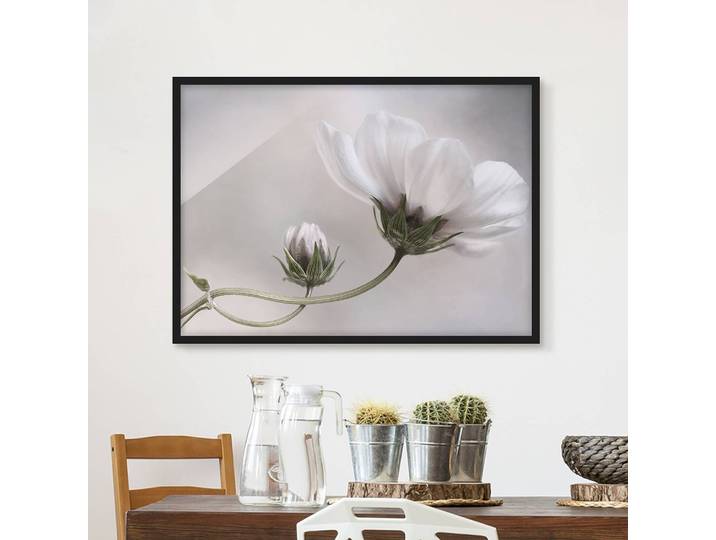 Bild Simply Cosmos V Papier Rahmen: Echtholz, furniert: Kiefer Beige 100 x 70cm