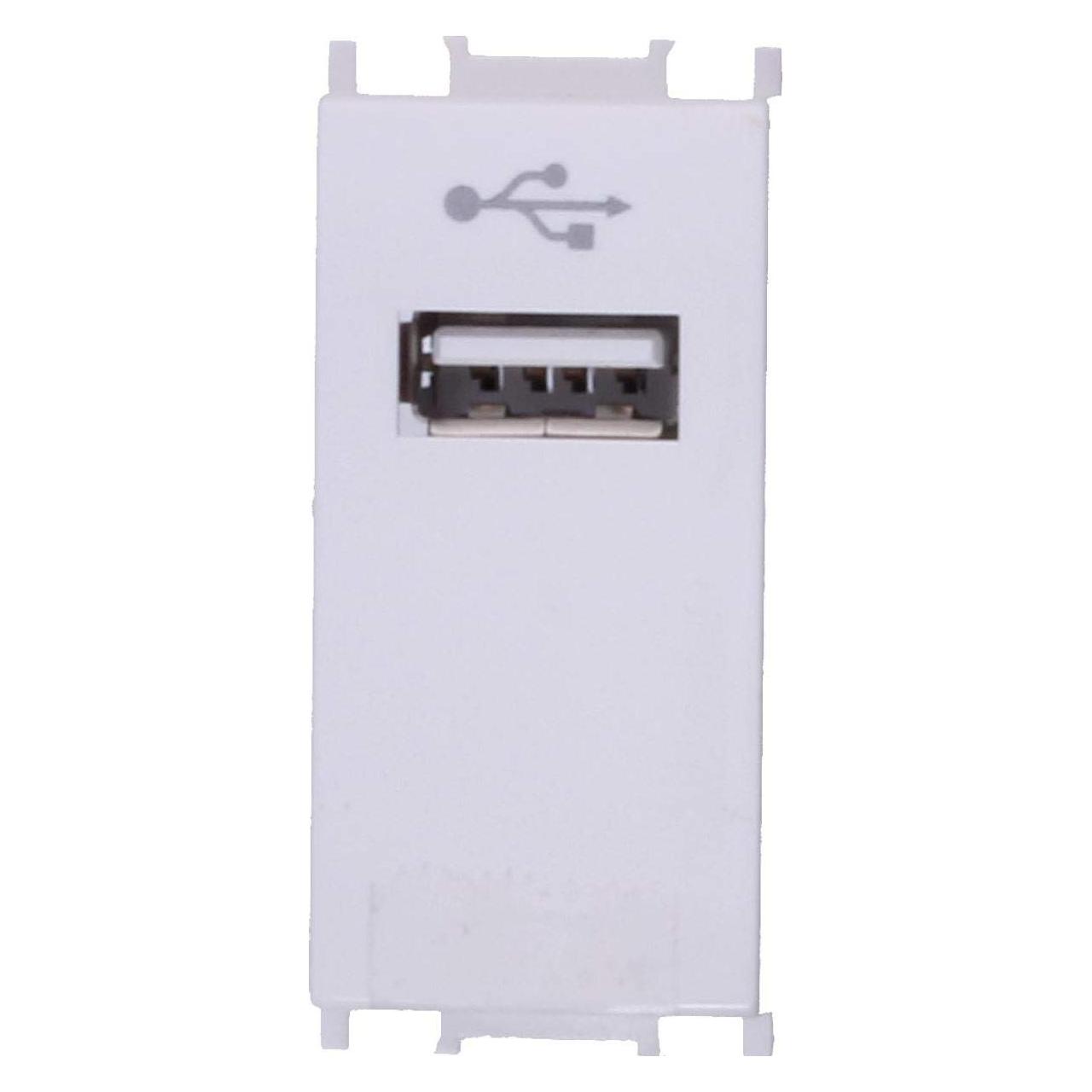 TEM Serie Modul Steckdosen SOCKET USBTIP A 1M PW (KM51PW-U)