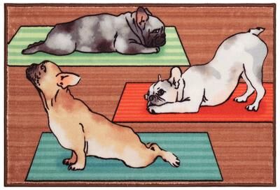 Lush Decor Siena Downward Dogs Indoor Mat