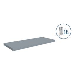 Orion Regalsysteme E10050M/040 Fachboden (B x T) 1000 mm x 500 mm Edelstahl Edelstahl Metallboden 1 St.