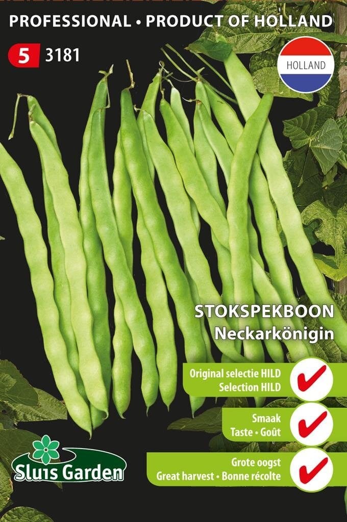 Sluis Garden Stokspekboon Neckarkonigin