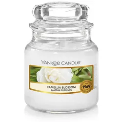Camellia Blossom 104g