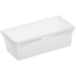 Rotho Aufbewahrungsbox Basic 8 x 15 cm Kunststoff Transparent XS (Extra Small)