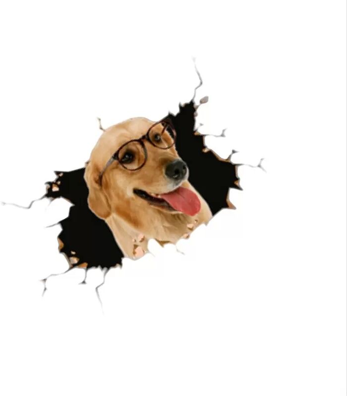 INF Autocollants 3D Chien Golden Retriever Créatifs pour Voiture - Lot de 2