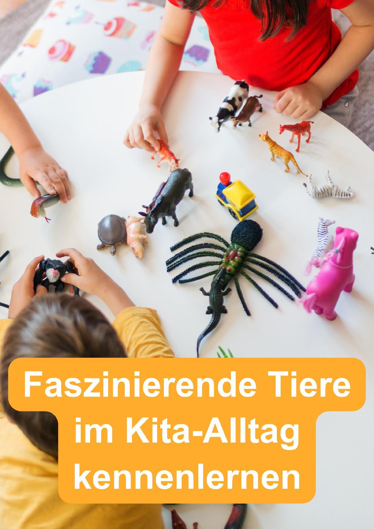 BVK Buch Verlag Kempen Marienkäfer