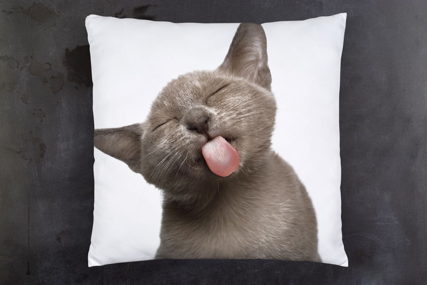 Dekokissen QUEENCE "Katzenzunge", weiß (weiß, bedruckt), B:40cm H:1cm L:40cm, Polyester, Dekokissen_Sitzkissen_Kissenhüllen, Dekokissen, Kissenhülle mit HD Premium Druck, geruchsneutral, 40x40cm