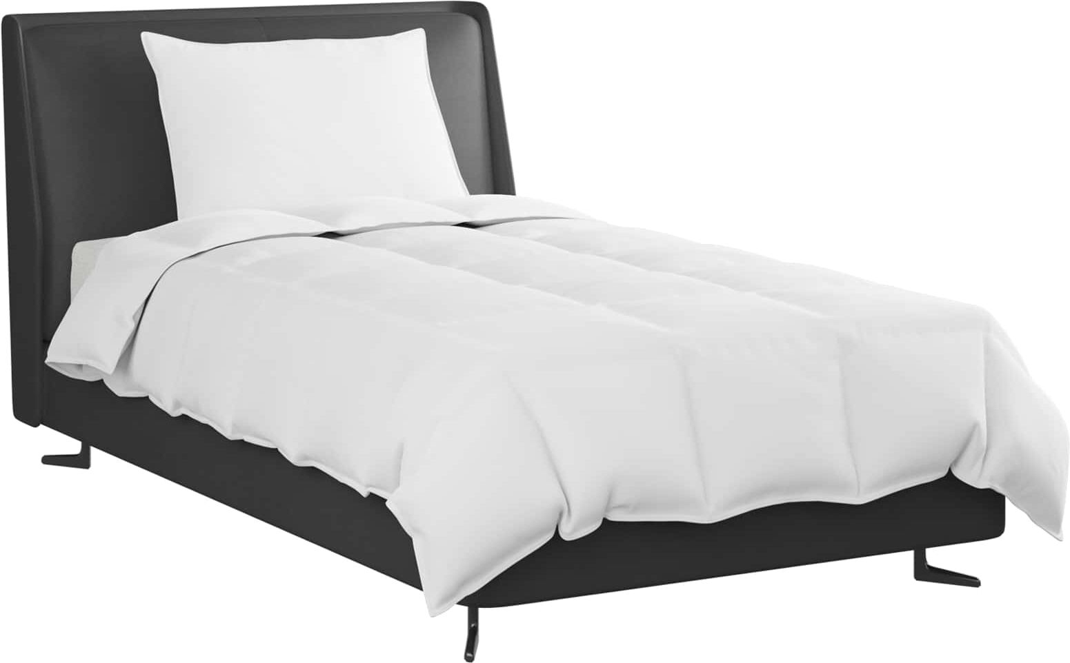 vidaXL Duvet d'été simple avec oreiller 2 pc Blanc Down Feather