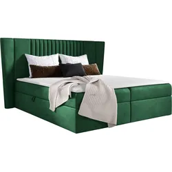 BOXBETT Spark - H3