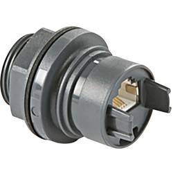 Bulgin Buccaneer 6000 Gerätedose RJ45 PXP6033TP/E Buchse, Einbau Schwarz 1 St.
