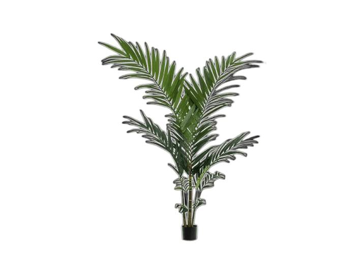 Lebensechte Kunstpflanze „Kentia Tuft“, verschiedene Grössen Grün Baq Design