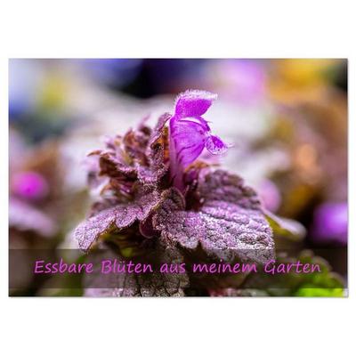 Essbare Blüten aus meinem Garten (Tischkalender 2026 DIN A5 quer), CALVENDO Monatskalender