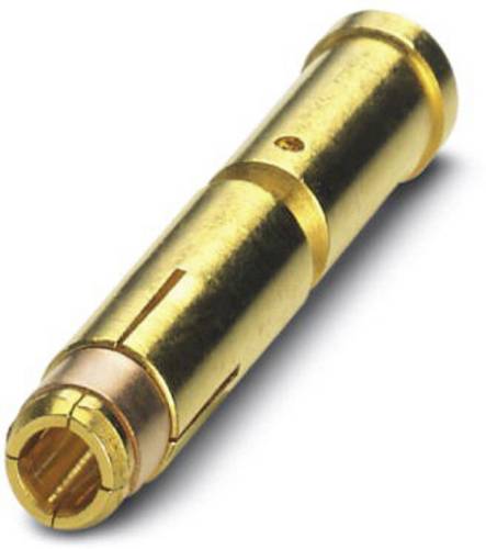 Phoenix Contact Crimpkontakt 1621576 SF-20KS021 Inhalt: 50St.