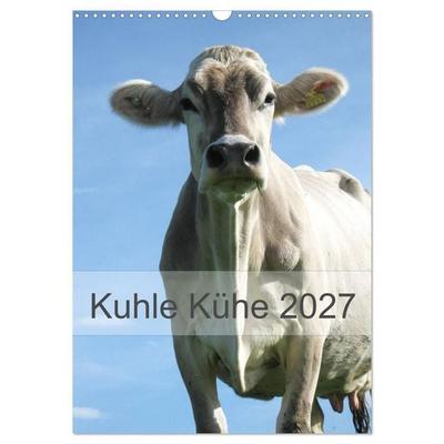 Kuhle Kühe 2027 (Wandkalender 2027 DIN A3 hoch), CALVENDO Monatskalender