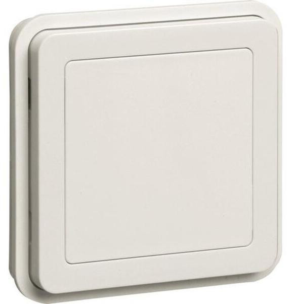 Hager Blindplaat Eins. W.1 PWS WNA157B Berker