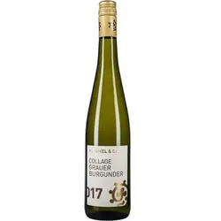 Grauburgunder Ganz in Weiss  Weingut Hammel & Cie 2025