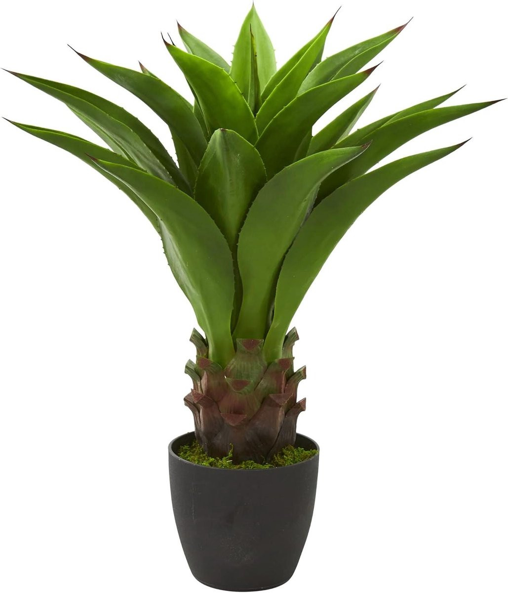 Nep Agave Plant met Levensechte Stam - Groen - 76 cm