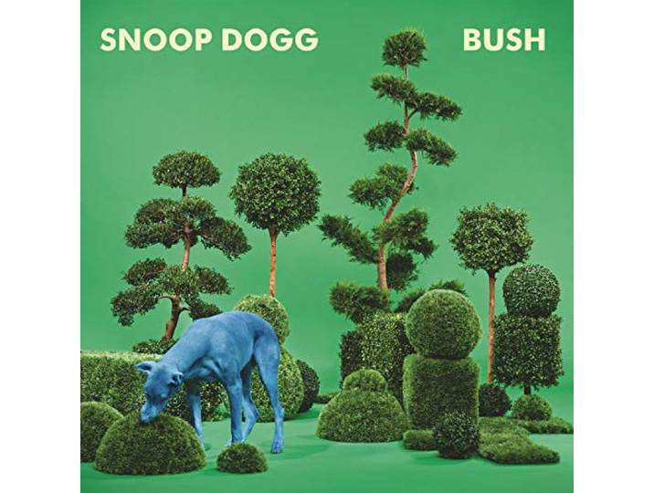Bush