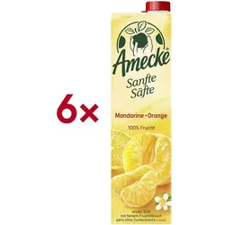Amecke 6er-Pack Fruchtsaft »Sanfte Säfte Mandarine Orange« 1 Liter orange
