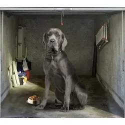 Scheurich Garagentorplane Dogge, für Schwing- und Sektionaltore