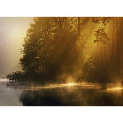 Fototapete PAPERMOON "Misty Early Morning", bunt, B:3m L:2,23m, Vlies, Tapeten