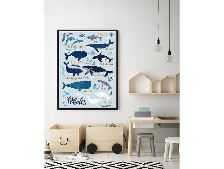 Bild All Kind Of Whales 63 x 83cm Multicolor