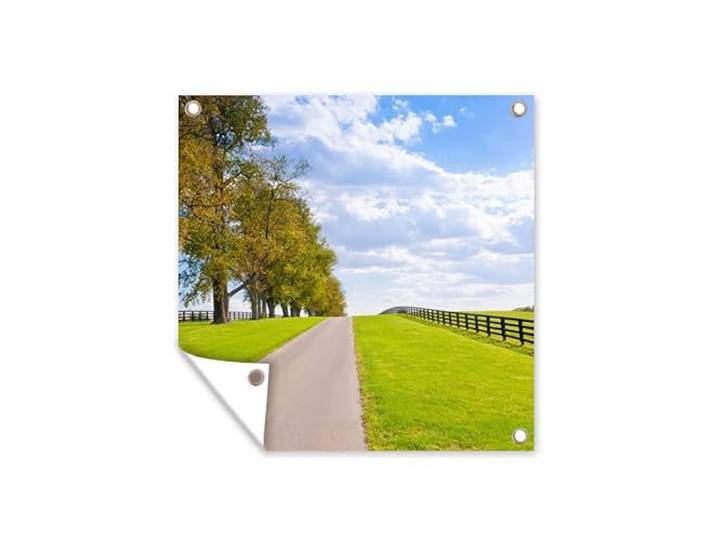 Tuinposter - 200x200 cm - Wolken - Bomen - Weg