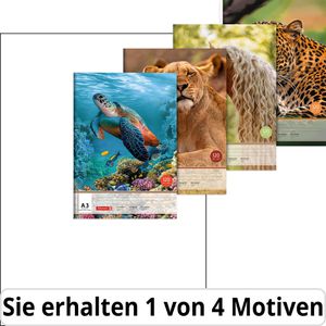 Brunnen Zeichenblock 104734509, A3, 120 g/m², weiß, geleimt, 20 Blatt