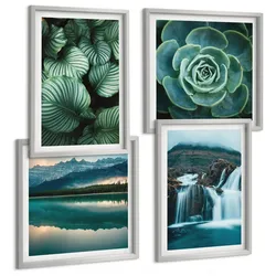 BILDER SET 4er Set - 50x50 cm & 40x60 cm Silberner Rahmen - Nahaufnahmen von Blättern sukkulenter Pflanzen