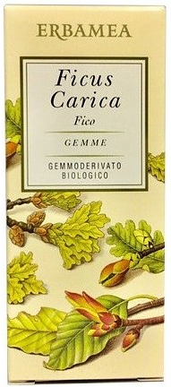 ERBAMEA Srl Erbamea, Ficus Carica, 50 ml
