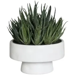 Deko-Objekt Sukkulenten-Arrangement Kunststoff Grün