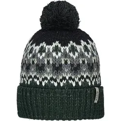 BARTS Barts Herren Hut Tobles Beanie, Größe 00 in Grün 2029