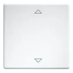 Eltako 30000981 Wippen lasergraviert für Taster und Schalter 55er Design und E-Design55 reinweiß glänzend W-FT55-wg+2P