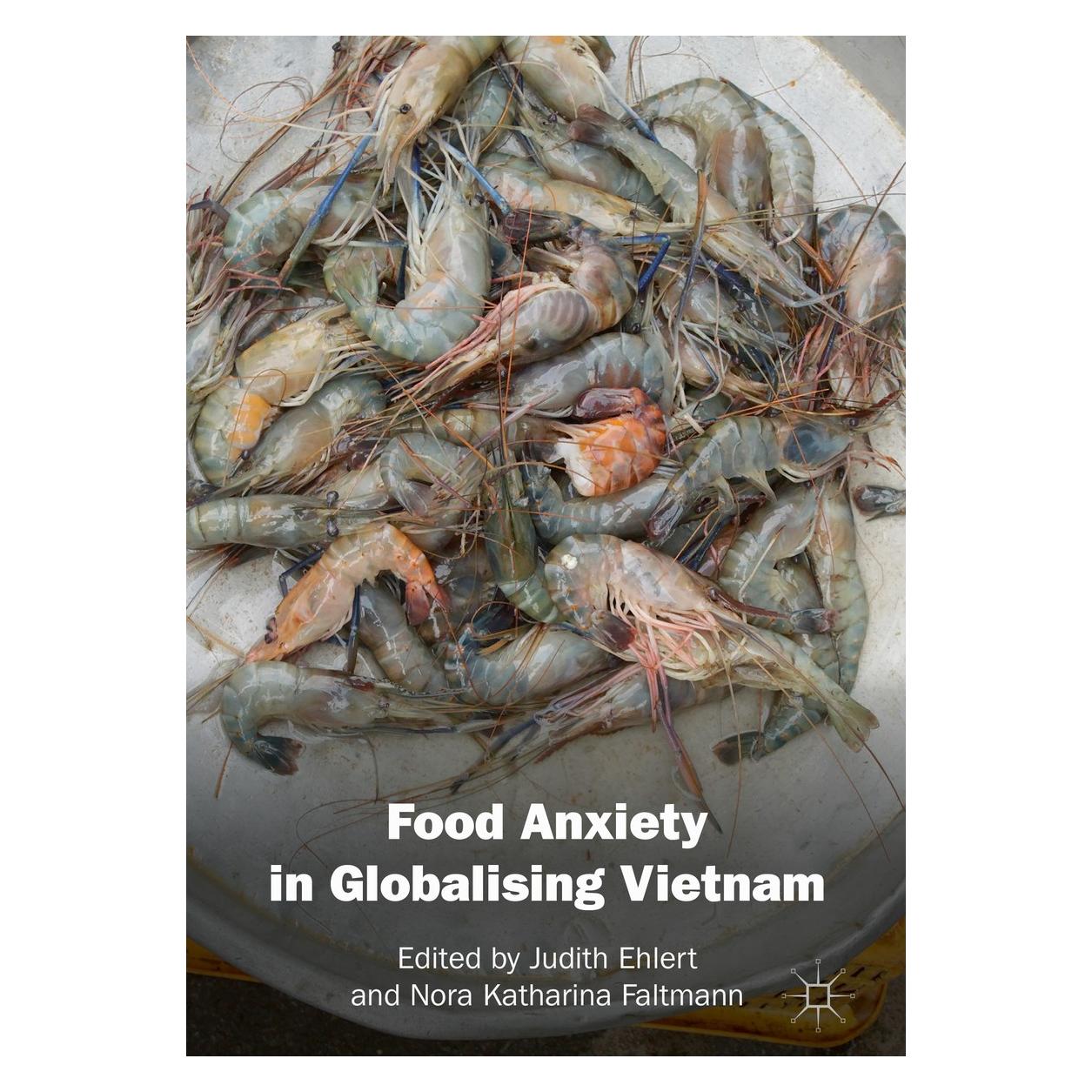 Springer Food Anxiety in Globalising Vietnam (Englisch, Hardcover, Judith Ehlert, Nora Katharina Faltmann) (9789811307423)