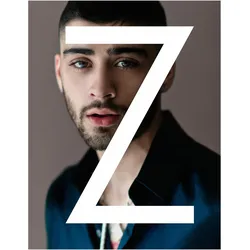 Zayn, Fachbücher von Zayn