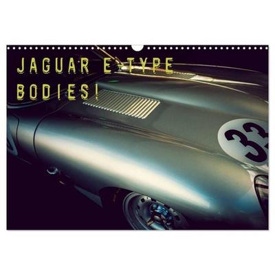 Jaguar E-Type - Bodies (Wandkalender 2027 DIN A3 quer), CALVENDO Monatskalender