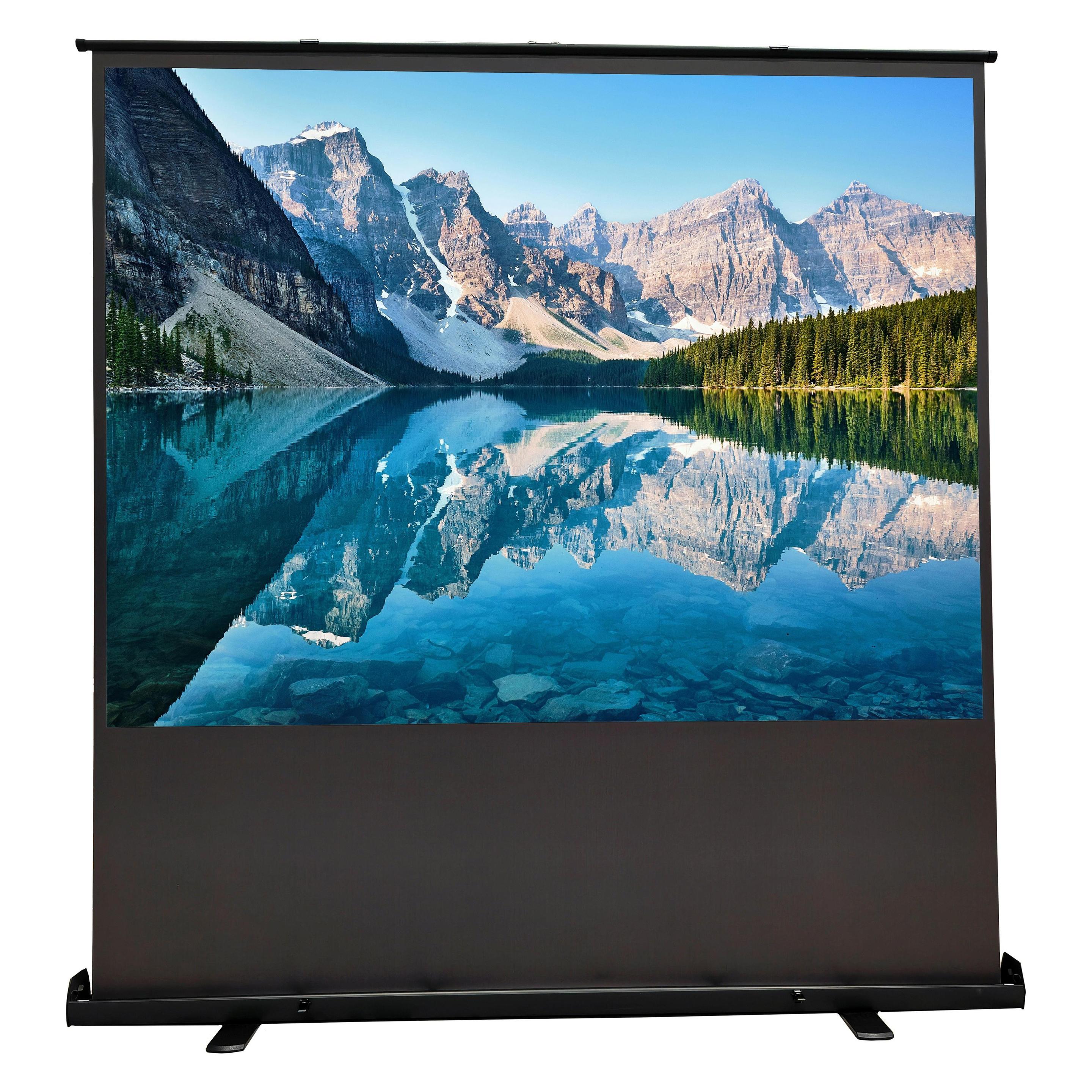 Reflecta Bodenleinwand Portable 226x200 cm 100 Format 16:9 (100", 16:9) (40771)
