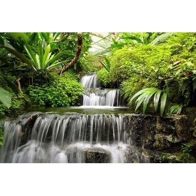 Papermoon "WASSERFALL-NATUR WALD DSCHUNGEL PALMEN BÄUME PFLANZEN"